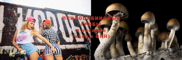 бошки Баксан